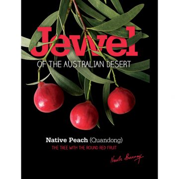 Jewel of the Australian Desert