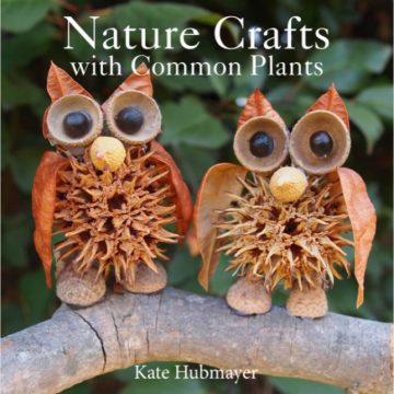 Nature Crafts with Common Plants (Book 2)